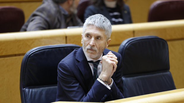 Fernando Grande Marlaska