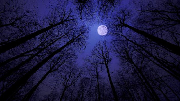 Luna llena agosto 2023: ¿Cuándo y dónde ver la luna del esturión y la luna azul?