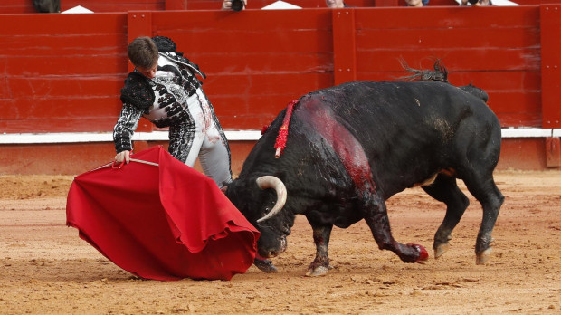 El Juli con la muleta el pasado mayo en Aranjuez