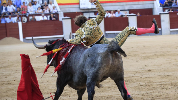 Momento en el que el diestro Román Collado es cogido por el toro en Las Ventas