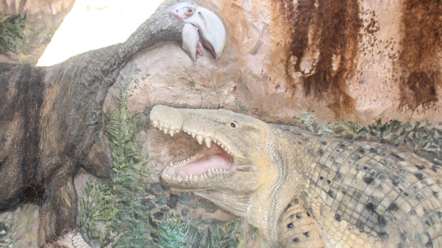 Representación de un cocodrilo atacando a un ave prehistórica en el Mioceno