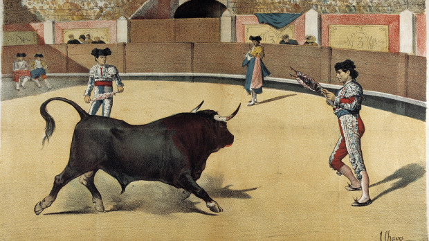 Illustración Toros bandillero
