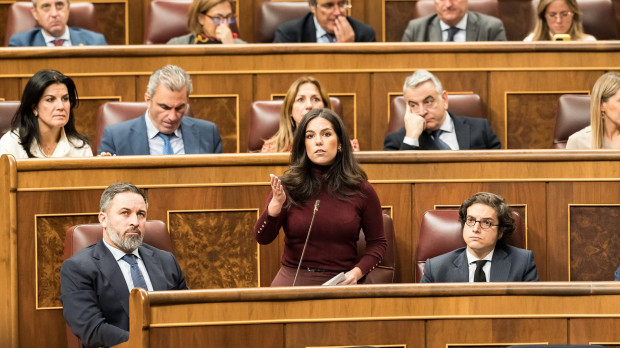 Santiago Abascal, Pepa Millán, José María Figaredo, durante un pleno en el Congreso
