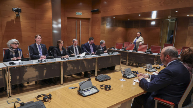 Los miembros de la Comisión de Venecia, en el Senado