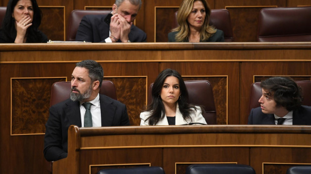 Diputados de Vox en el Congreso durante una sesión plenaria
