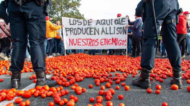 Agricultores arrojan tomates durante una concentración el puerto de Motril (Granada)