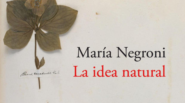 Portada de 'La idea natural' de María Negroni
