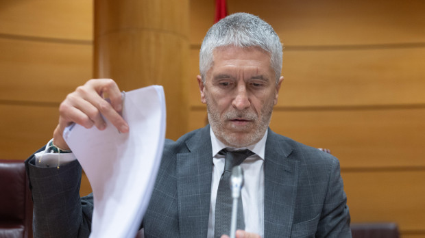 Fernando Grande-Marlaska, ministro del Interior