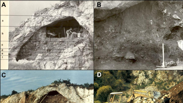 Mosaico de las excavaciones