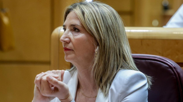 La portavoz del Partido Popular en el Senado, Alicia García