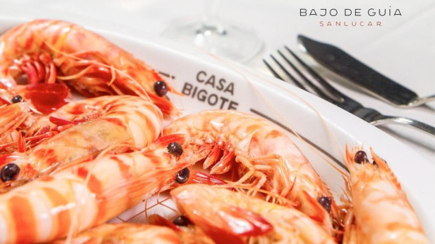 Son más de veinte las recomendaciones gaditanas que hace la Guía Michelín