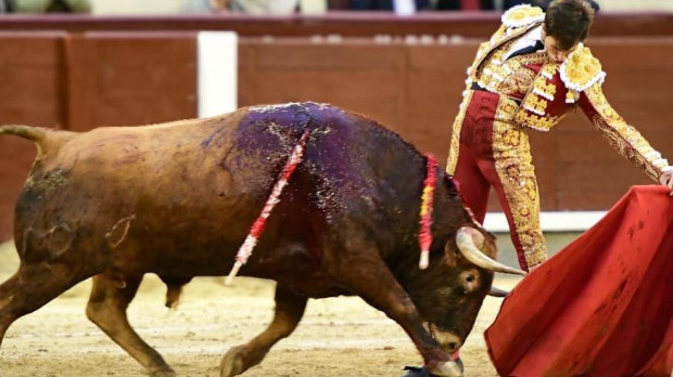 Samuel Navalón, con la muleta, en un lance de la novillada en Las ventas