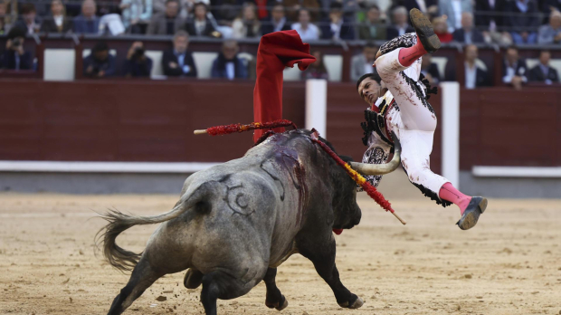 Emilio de Justo, embestido por su segundo toro, de la ganadería la Quinta
