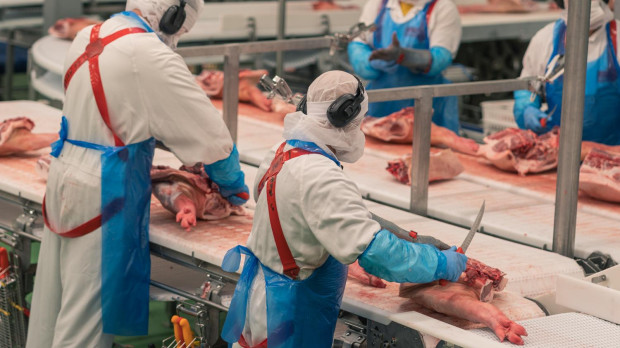 Trabajadores de una empresa de productos cárnicos.