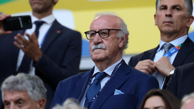 Vicente del Bosque durante el partido entre España y Albania en la Eurocopa