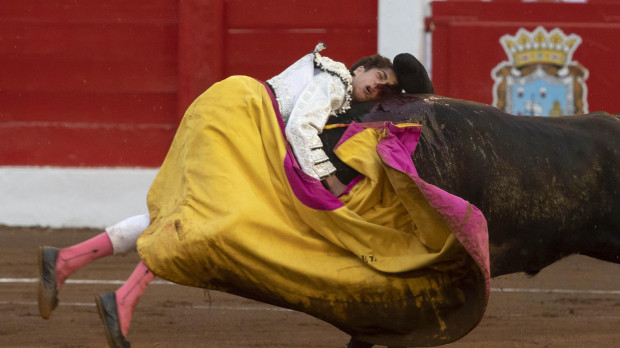 El novillero Marco Pérez es cogido en su faena