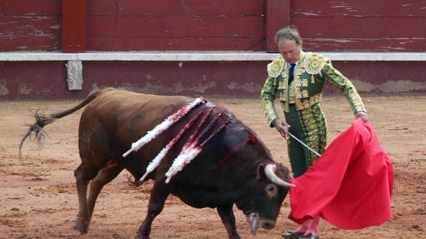 Pepe Luis Vázquez Silva en la Feria de Aranjuez en 2017