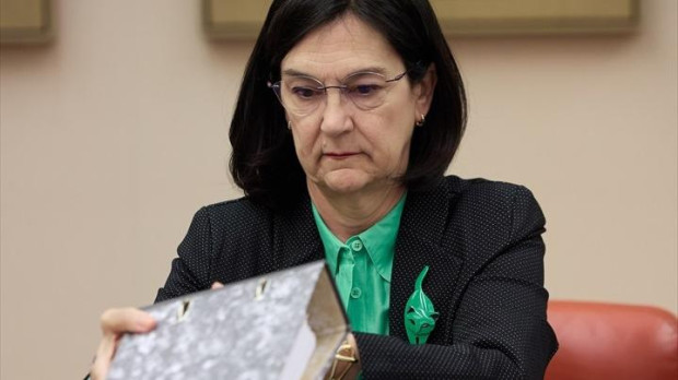 La presidenta de la Comisión Nacional de los Mercados (CNMC), Cani Fernández