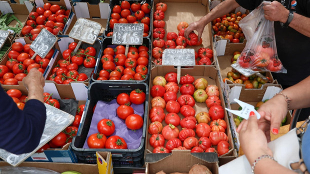 Cajas de tomates en un mercado de la Comunidad de Madrid.