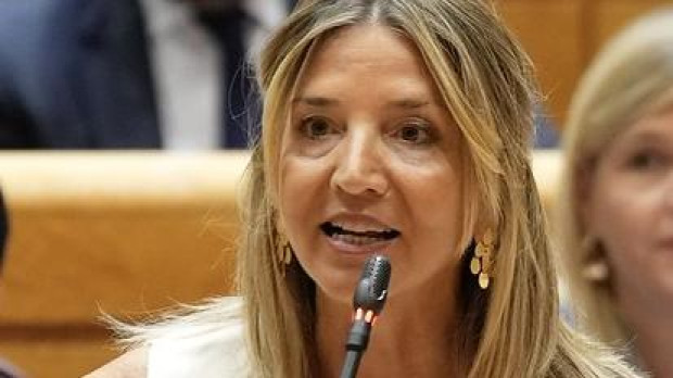 La portavoz del PP en el Senado, Alicia García