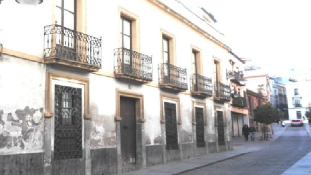 La casa de los gatos en San Pablo