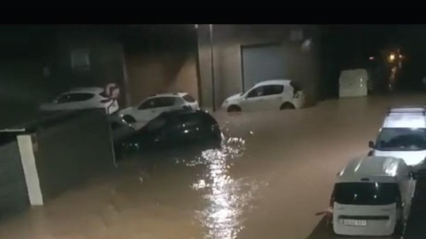 Imagen recogida por el joven en Algemesí