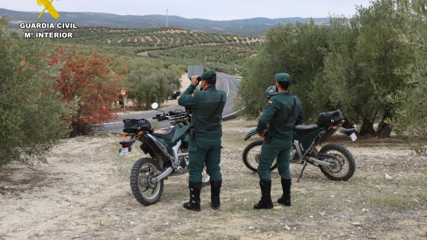 Agentes del Seprona realizando un servicio