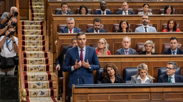 Pedro Sánchez junto a sus diputados
