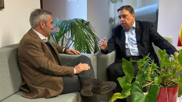 El consejero valenciano de Agricultura, Miguel Barrachina, y el ministro del ramo, Luis Planas