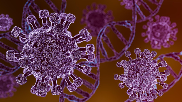 Modelo de virus en 3D