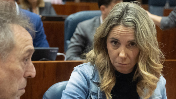 La portavoz del PSOE en la Asamblea, Mar Espinar
