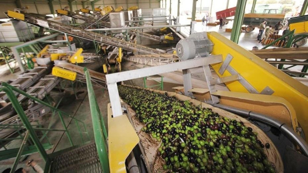 Almazara de aceite de oliva en Andalucía