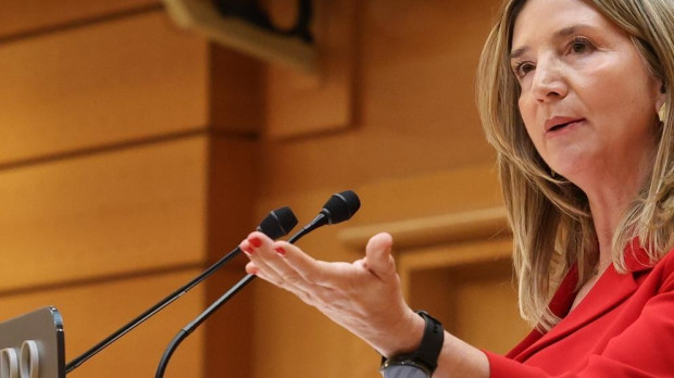 La portavoz del PP en el Senado, Alicia García, durante un pleno en el Senado
