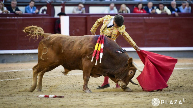 Aarón Palacio, durante la lidia del novillo al que cortó una oreja