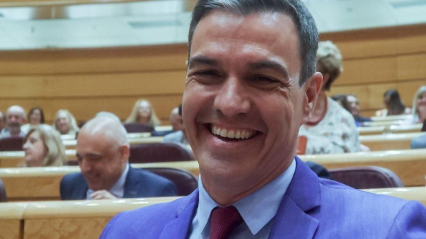 El presidente del Gobierno, Pedro Sánchez, en una sesión plenaria en el Senado