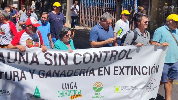 Manifestación del sector agroganadero