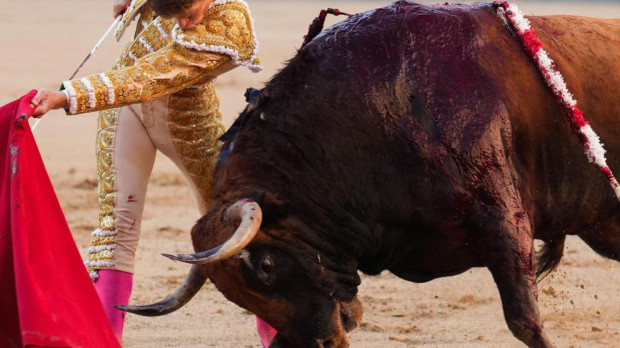 Borja Jiménez, con el primero de su lote, al que cortó la única oreja del festejo
