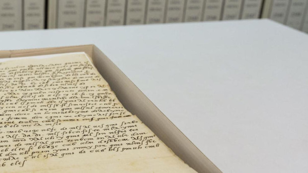 La colaboración ciudadana ha ayudado a desencriptar una carta de la familia Borgia (Borja en español) en los que se habla de revoluciones, que podrían ser "desde la expulsión de los moriscos hasta las rebeliones francesas" en la revuelta catalana