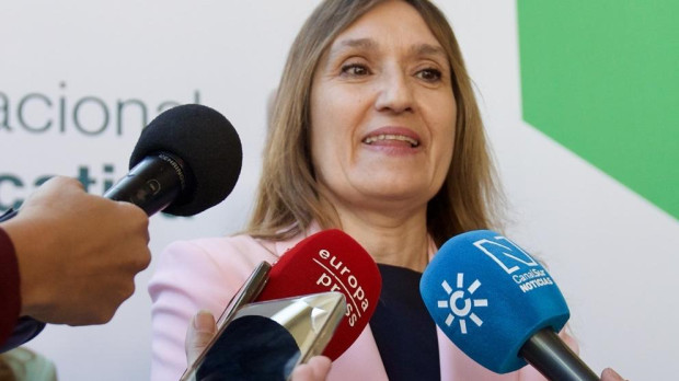 La consejera de Educación de la Junta de Castilla y León, Rocío Lucas