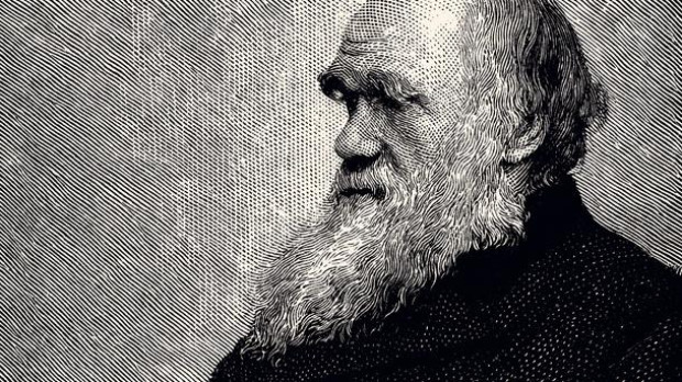 Grabado antiguo de finales del siglo XIX del científico y naturalista Charles Darwin