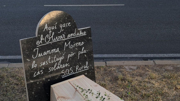 La campaña contra la tala masiva de olivos en Jaén ha llegado hasta la cumbre de la ONU en Sevilla