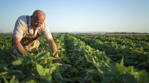 Agricultor trabajando en el campo