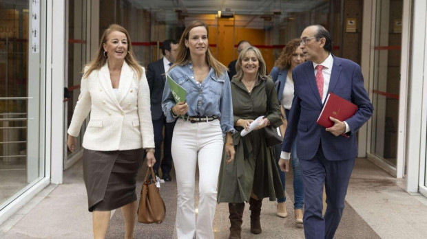 Vox en la Asamblea de Madrid