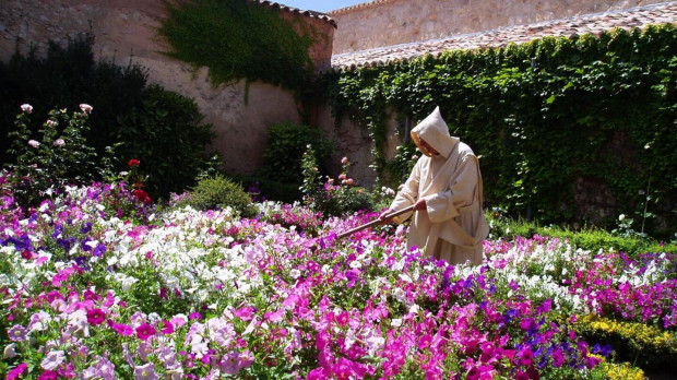 «Fijar en Él (en Dios) la mirada y el corazón, que llamamos contemplación, es el acto más alto y más pleno del espíritu, el acto que puede y debe jerarquizar la inmensa pirámide de la actividad humana» —Pablo VI