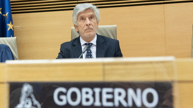 Fernando Grande-Marlaska, este viernes en el Congreso de los Diputados