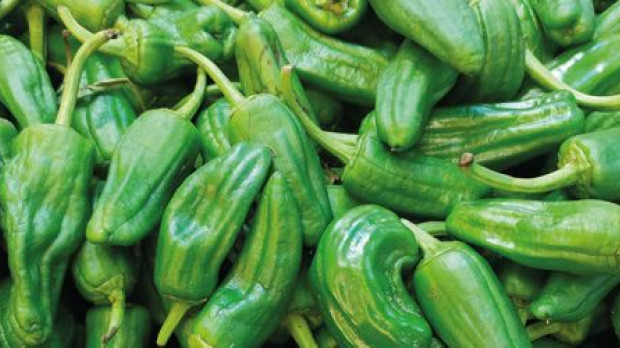 Pimientos de padrón creados por los monjes de Hrbón