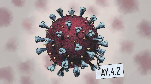 ilustracion coronavirus apaisada