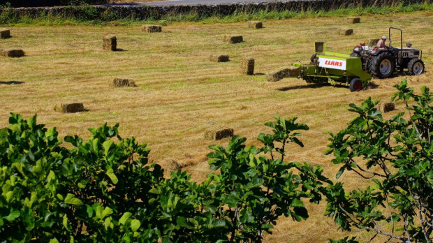 Cultivos, tierras, imagen de archivo