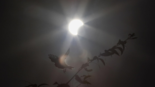 Eclipse anular de Sol de diciembre de 2019