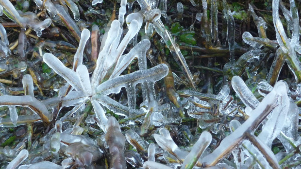 frio heladas invierno